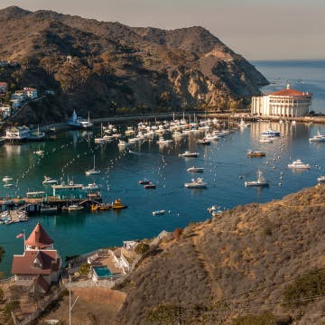 Catalina Island, California